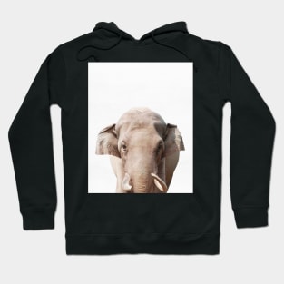 Elephant print, African Safari, Nursery decor, Animal, Kids room, Modern Wall Hoodie